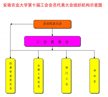 工會會員代表大會組織機構圖